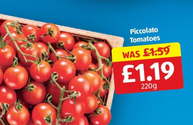 Piccolato Tomatoes