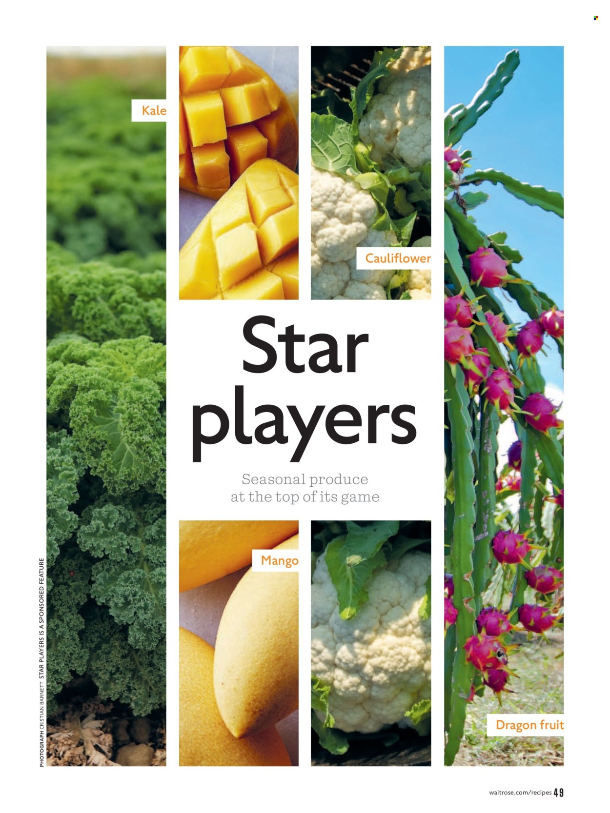 Waitrose offer - 01/02/2026 - 28/02/2026. Page 49