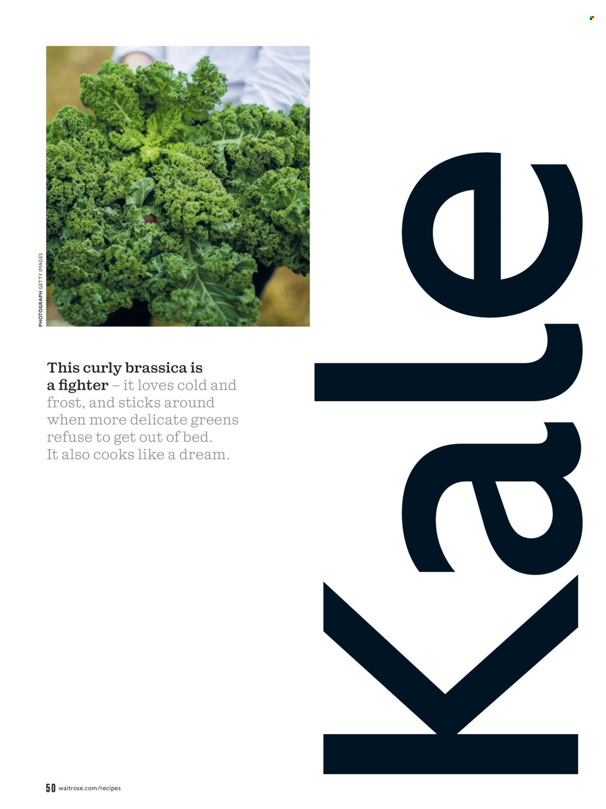 Waitrose offer - 01/02/2026 - 28/02/2026. Page 50