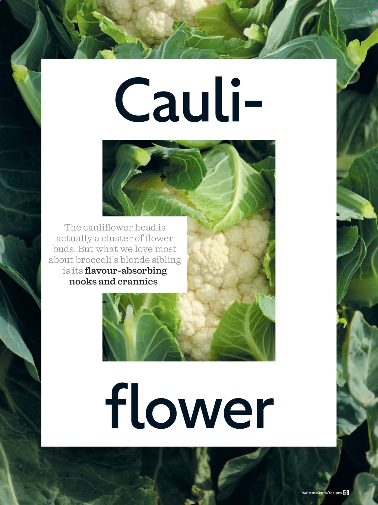 Waitrose offer - 01/02/2026 - 28/02/2026. Page 59