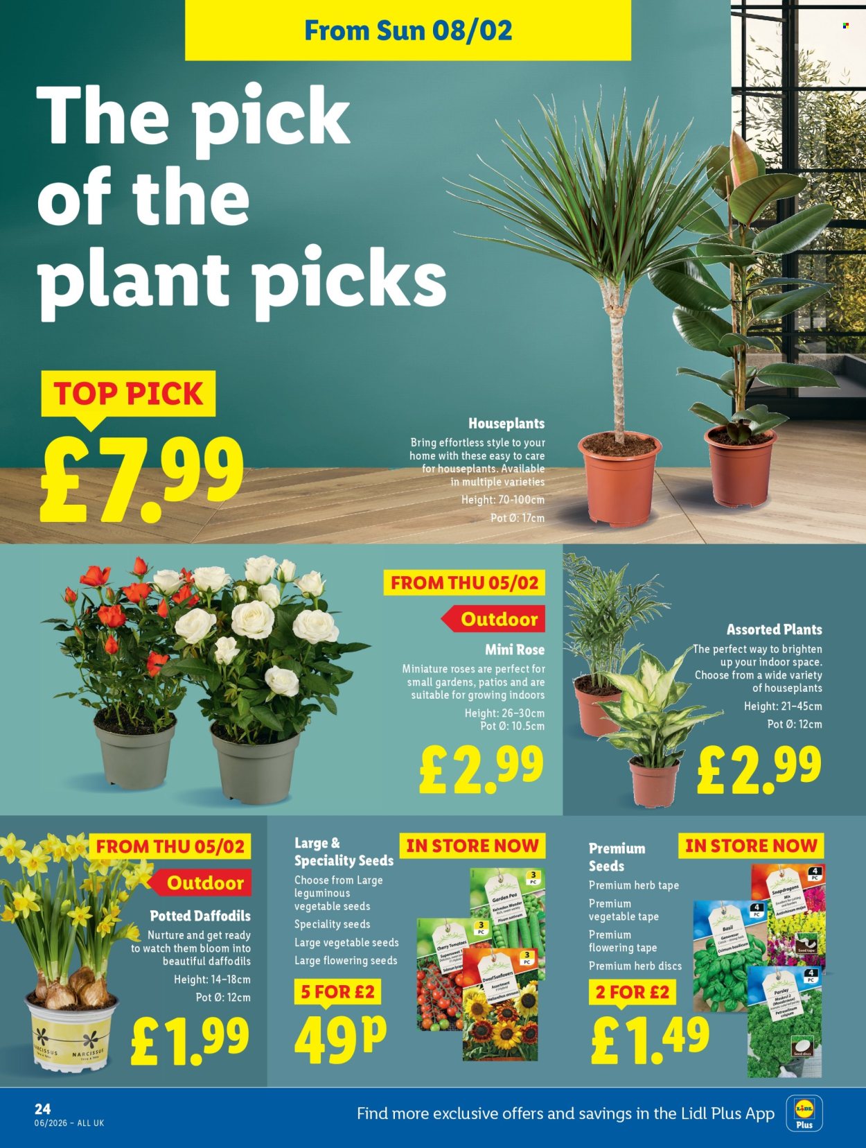 Lidl offer - 05/02/2026 - 11/02/2026. Page 24