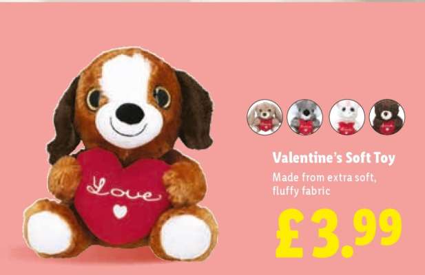Valentine’s Soft Toy
