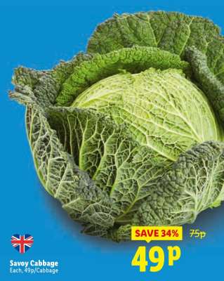Savoy Cabbage