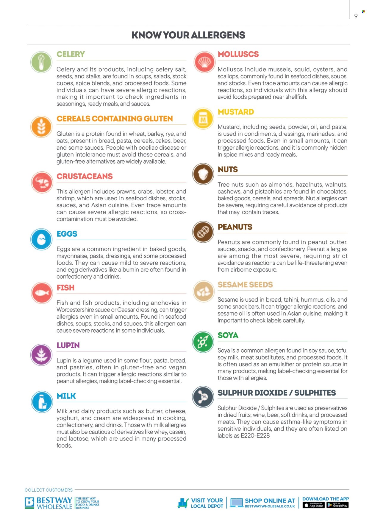 Bestway offer - 01/09/2025 - 28/02/2026. Page 9