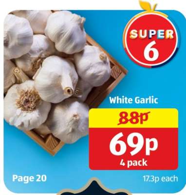 White Garlic