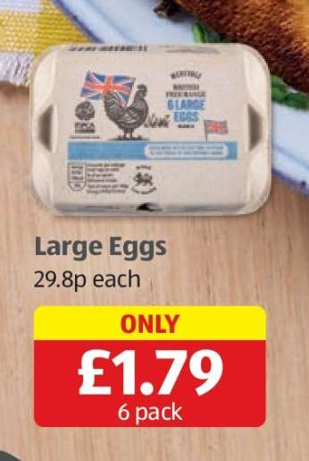 Large Eggs