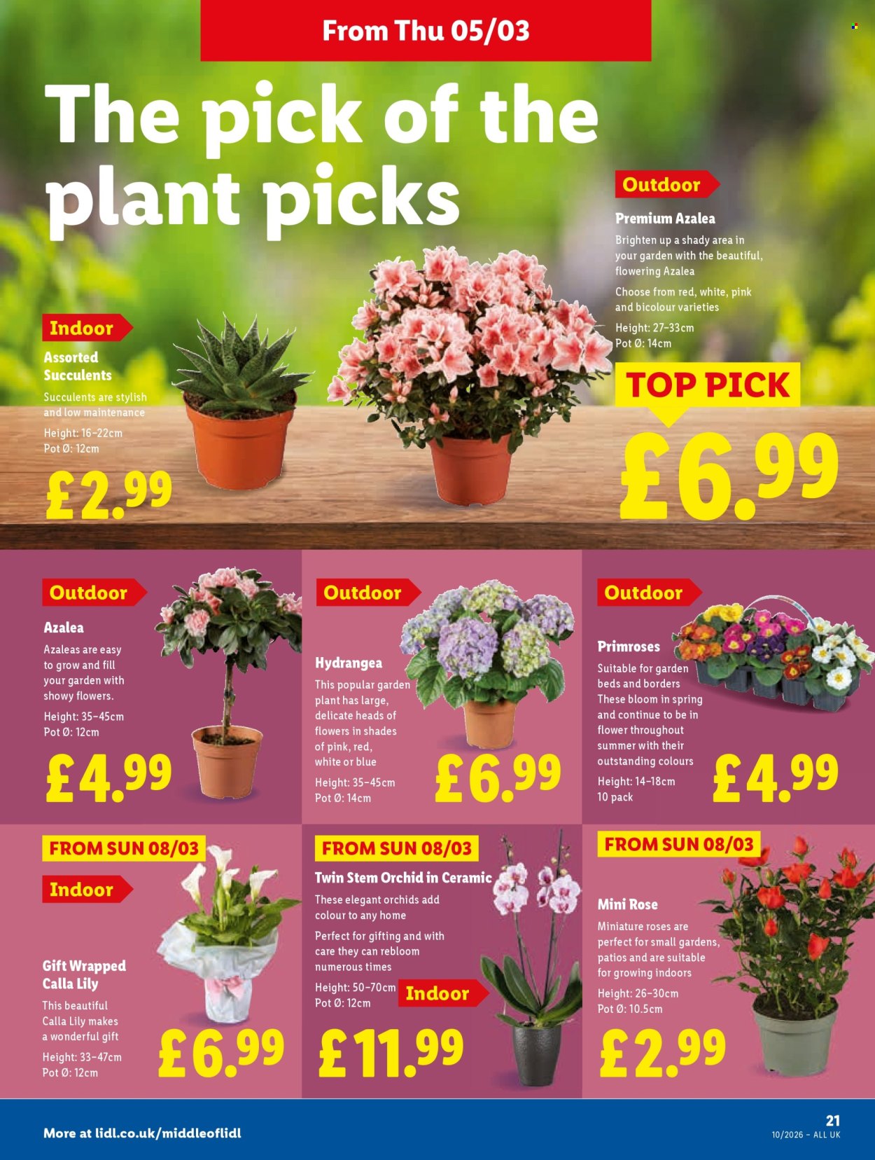 Lidl offer - 05/03/2026 - 11/03/2026. Page 21