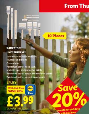 PARKSIDE Paintbrush Set