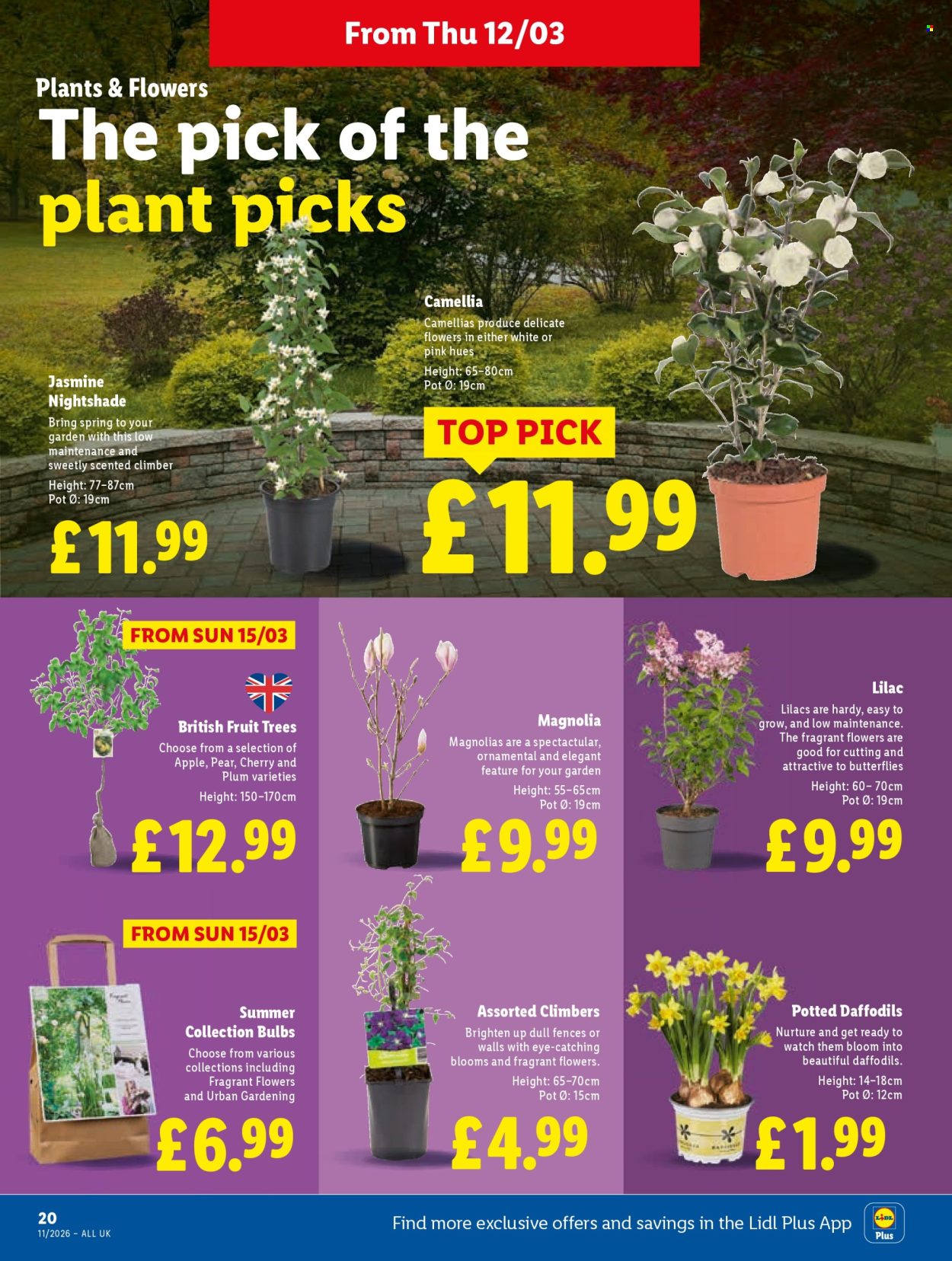 Lidl offer - 12/03/2026 - 18/03/2026. Page 22