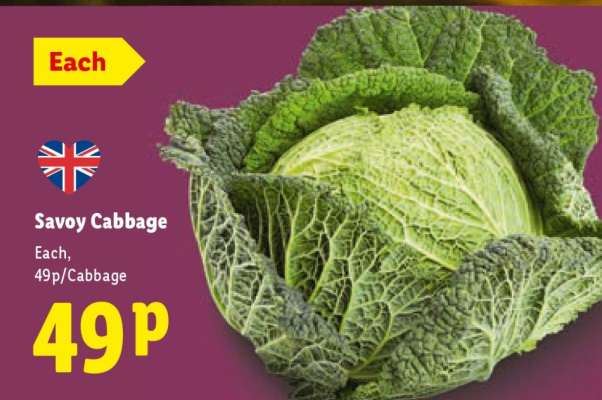 Savoy Cabbage