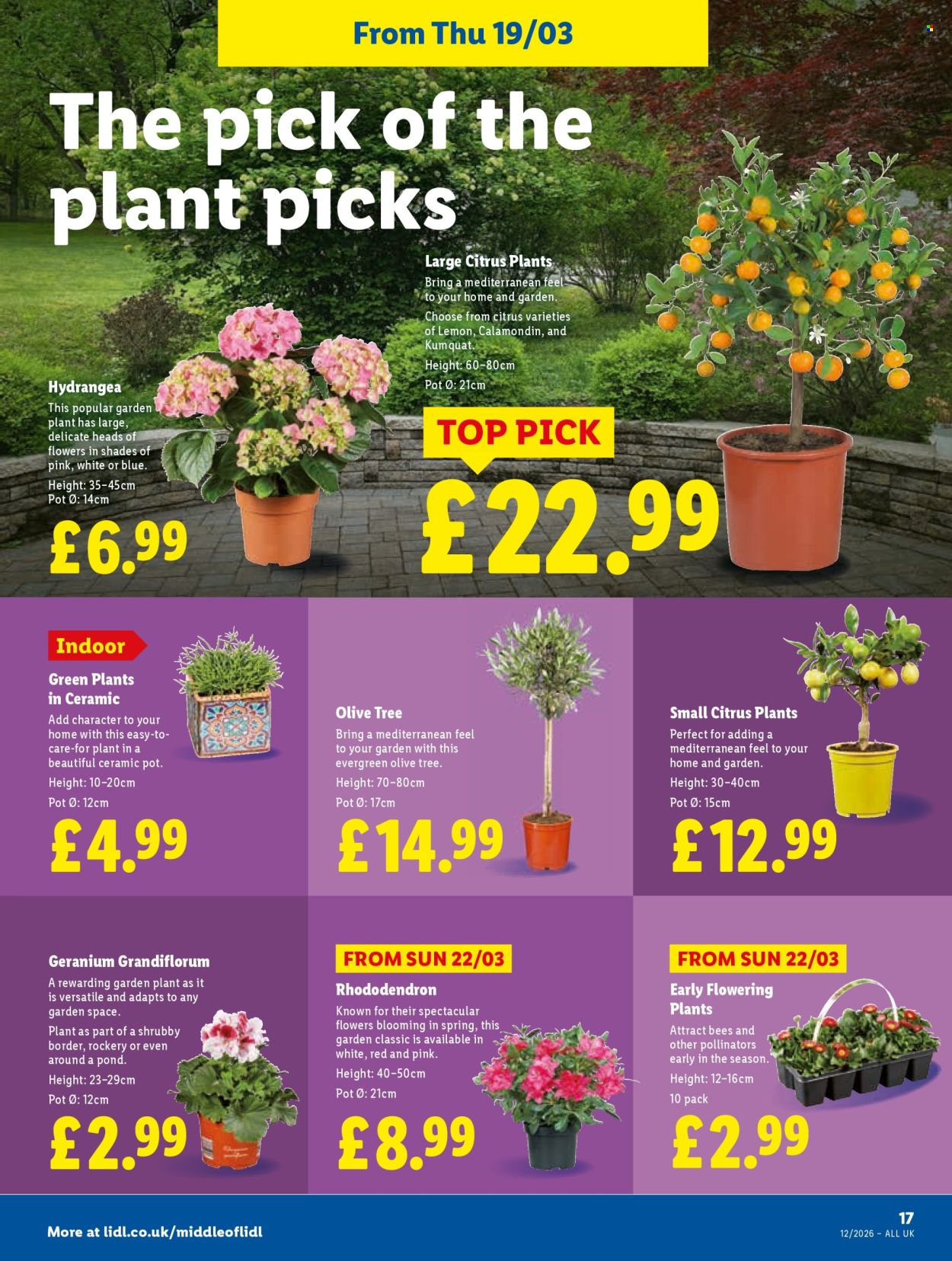 Lidl offer - 19/03/2026 - 25/03/2026. Page 19