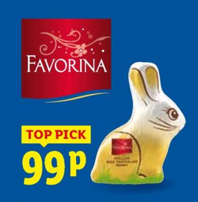 Favorina Chocolate Bunny