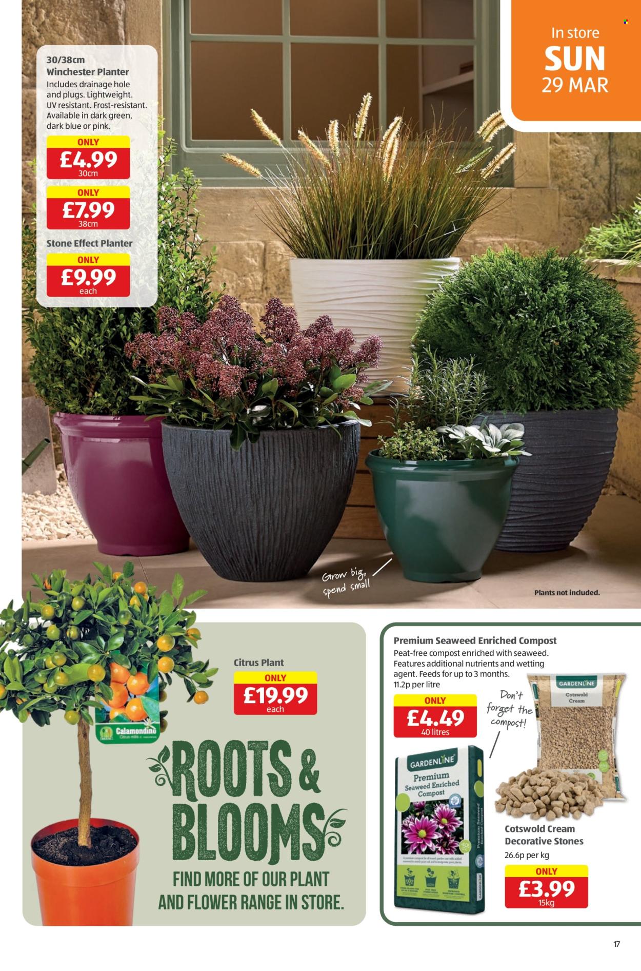 Aldi offer - 19/03/2026 - 30/03/2026. Page 17