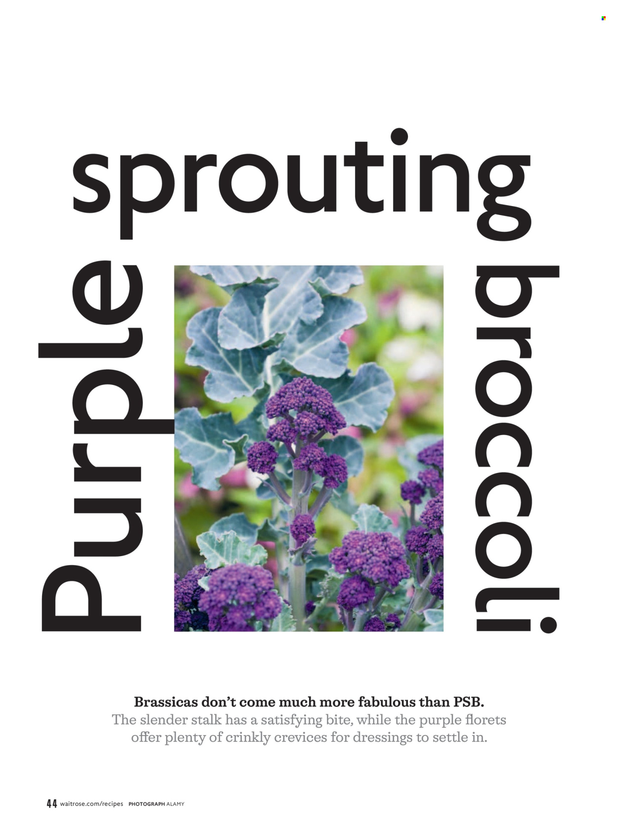 Waitrose offer - 01/04/2026 - 30/04/2026. Page 44