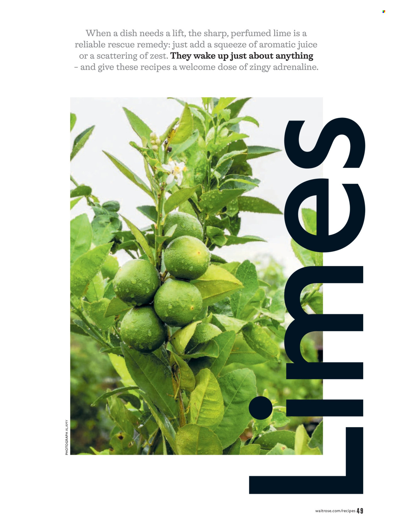 Waitrose offer - 01/04/2026 - 30/04/2026. Page 49