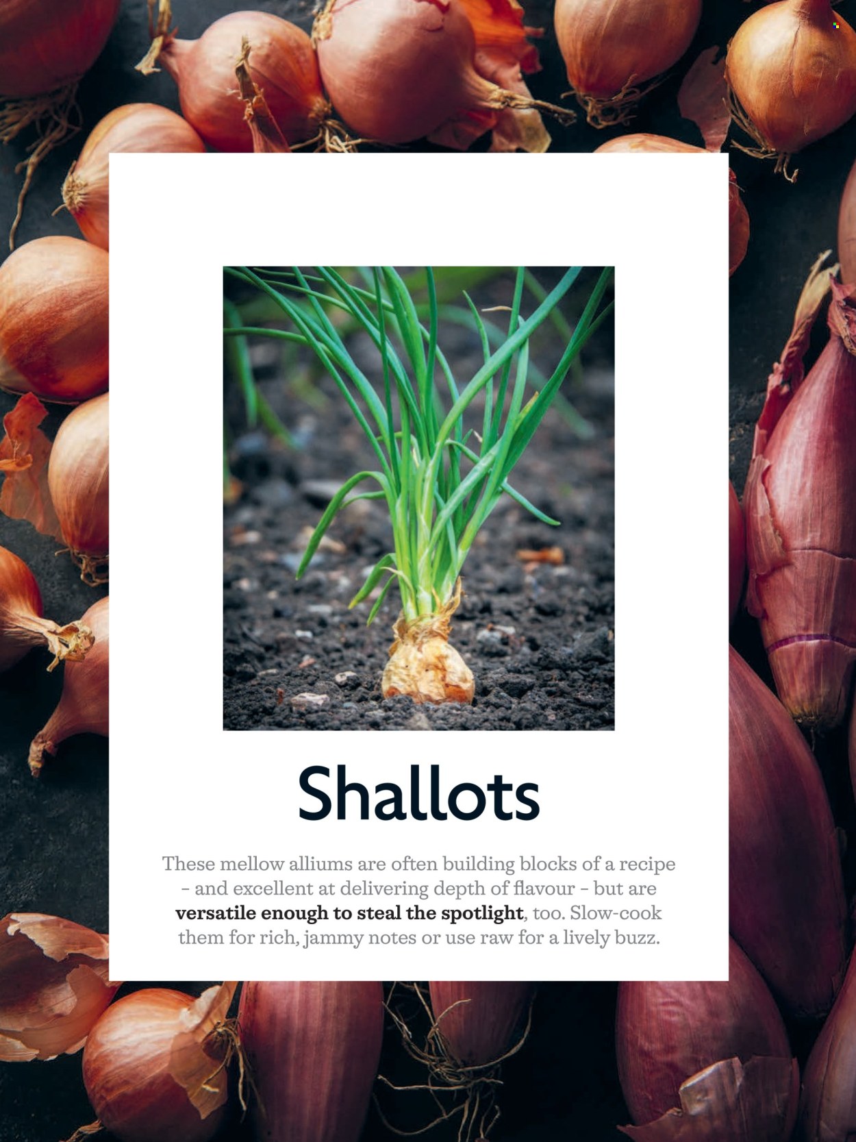 Waitrose offer - 01/04/2026 - 30/04/2026. Page 52