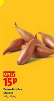 Deluxe Echalion Shallots