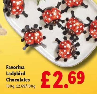Favorina Ladybird Chocolates