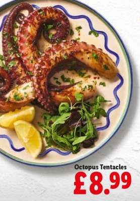 Octopus Tentacles