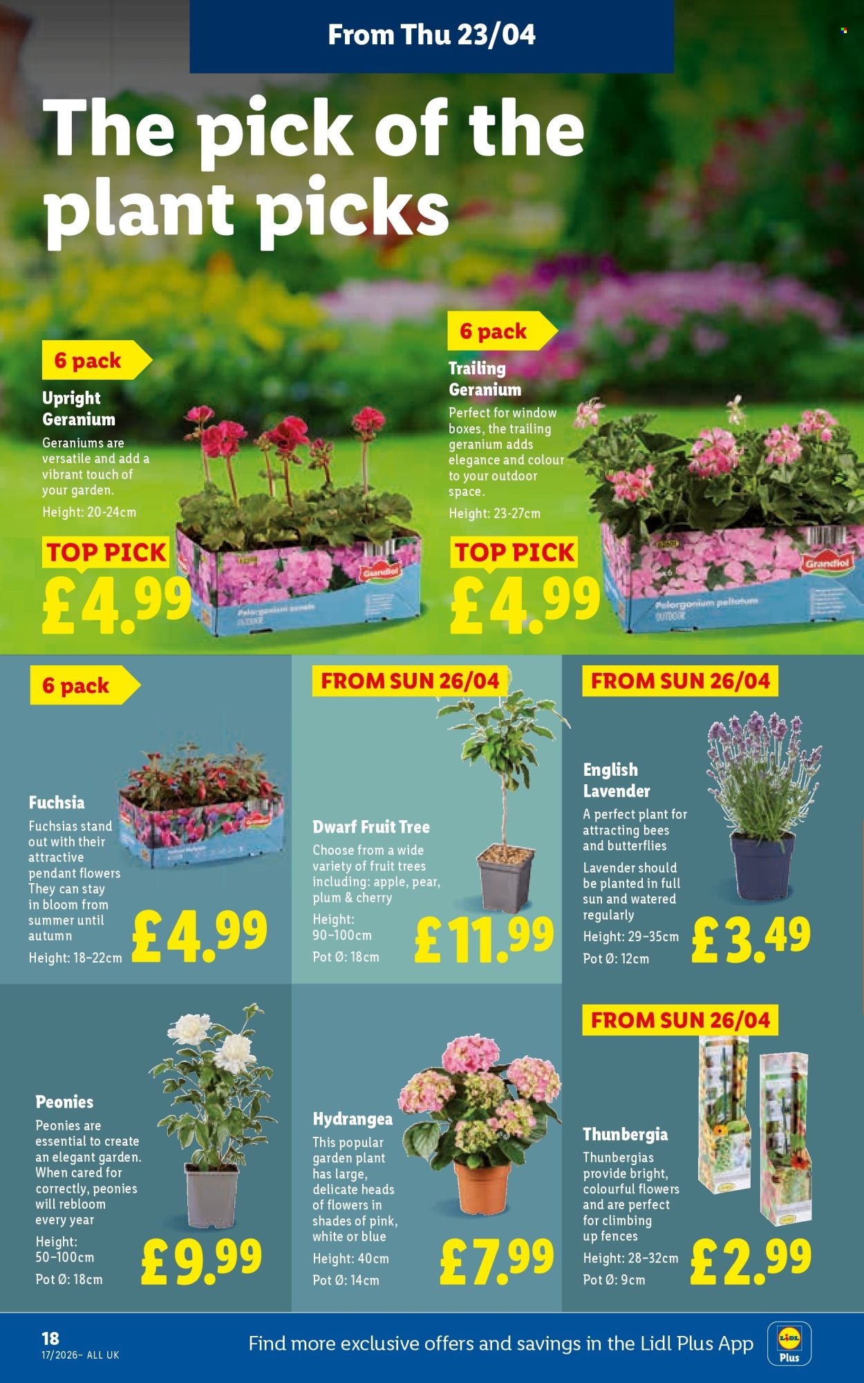 Lidl offer - 23/04/2026 - 29/04/2026. Page 22