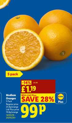 Medium Oranges