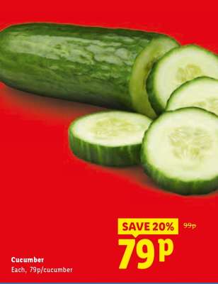 Cucumber