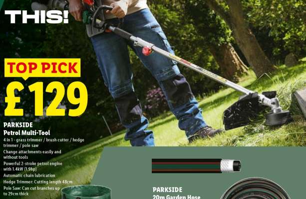 PARKSIDE Petrol Multi-Tool