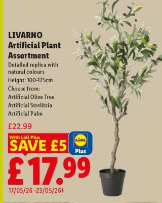 LIVARNO Artificial Plant Assortment