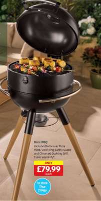 Mini BBQ