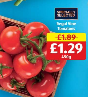 Regal Vine Tomatoes