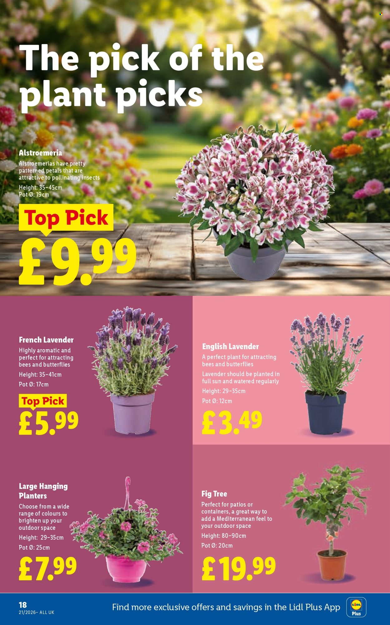 Lidl offer - 21/05/2026 - 27/05/2026. Page 22