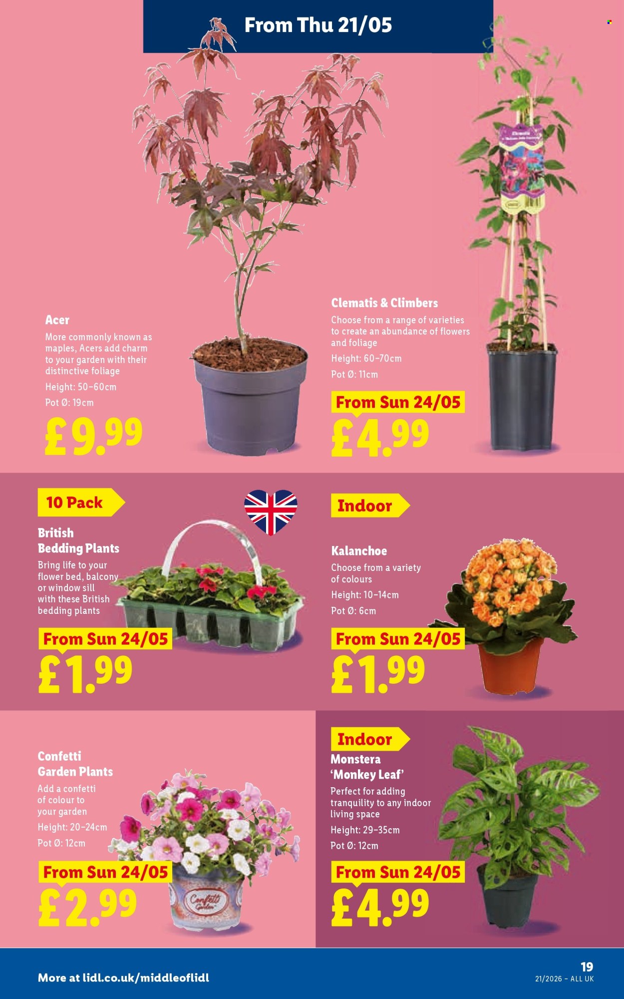 Lidl offer - 21/05/2026 - 27/05/2026. Page 23