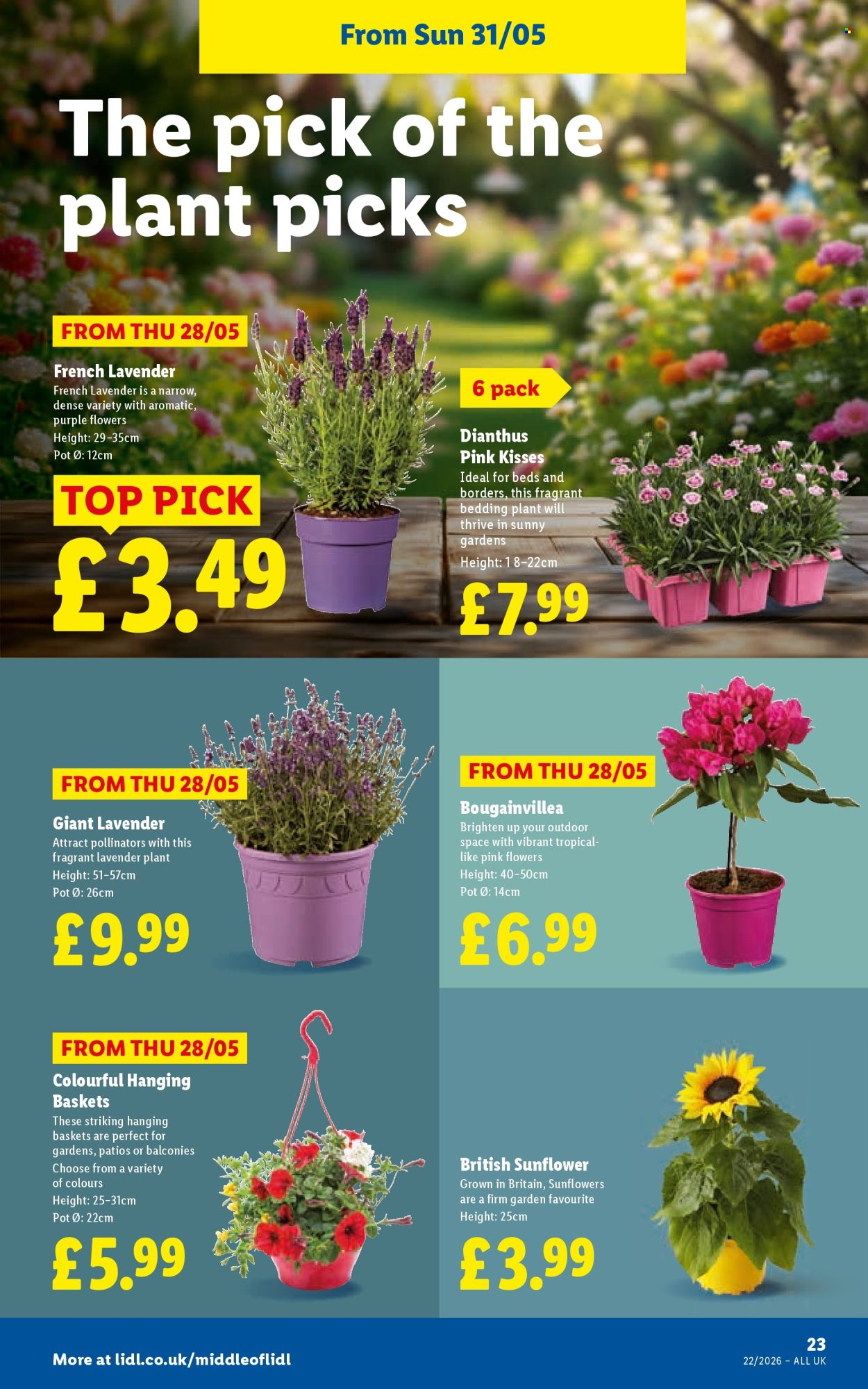 Lidl offer - 28/05/2026 - 03/06/2026. Page 23