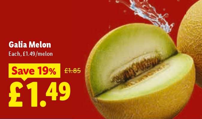 Galia Melon