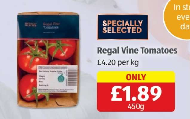 Regal Vine Tomatoes