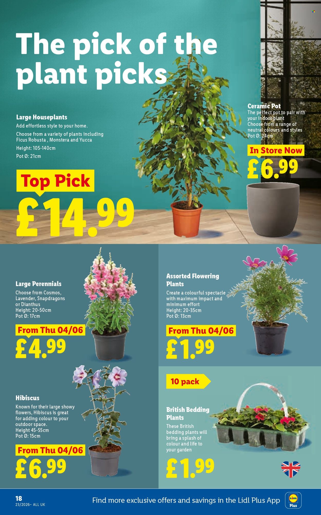 Lidl offer - 04/06/2026 - 10/06/2026. Page 20