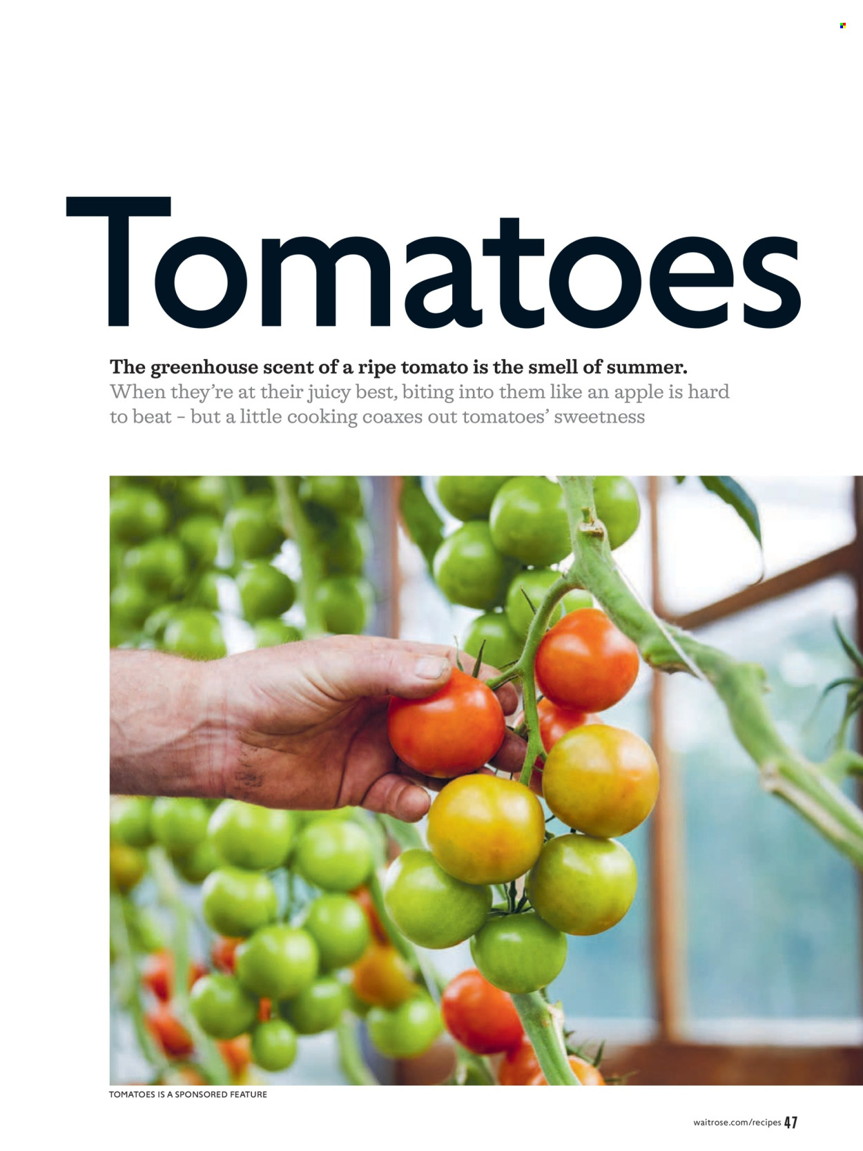 Waitrose offer - 01/06/2026 - 30/06/2026. Page 47