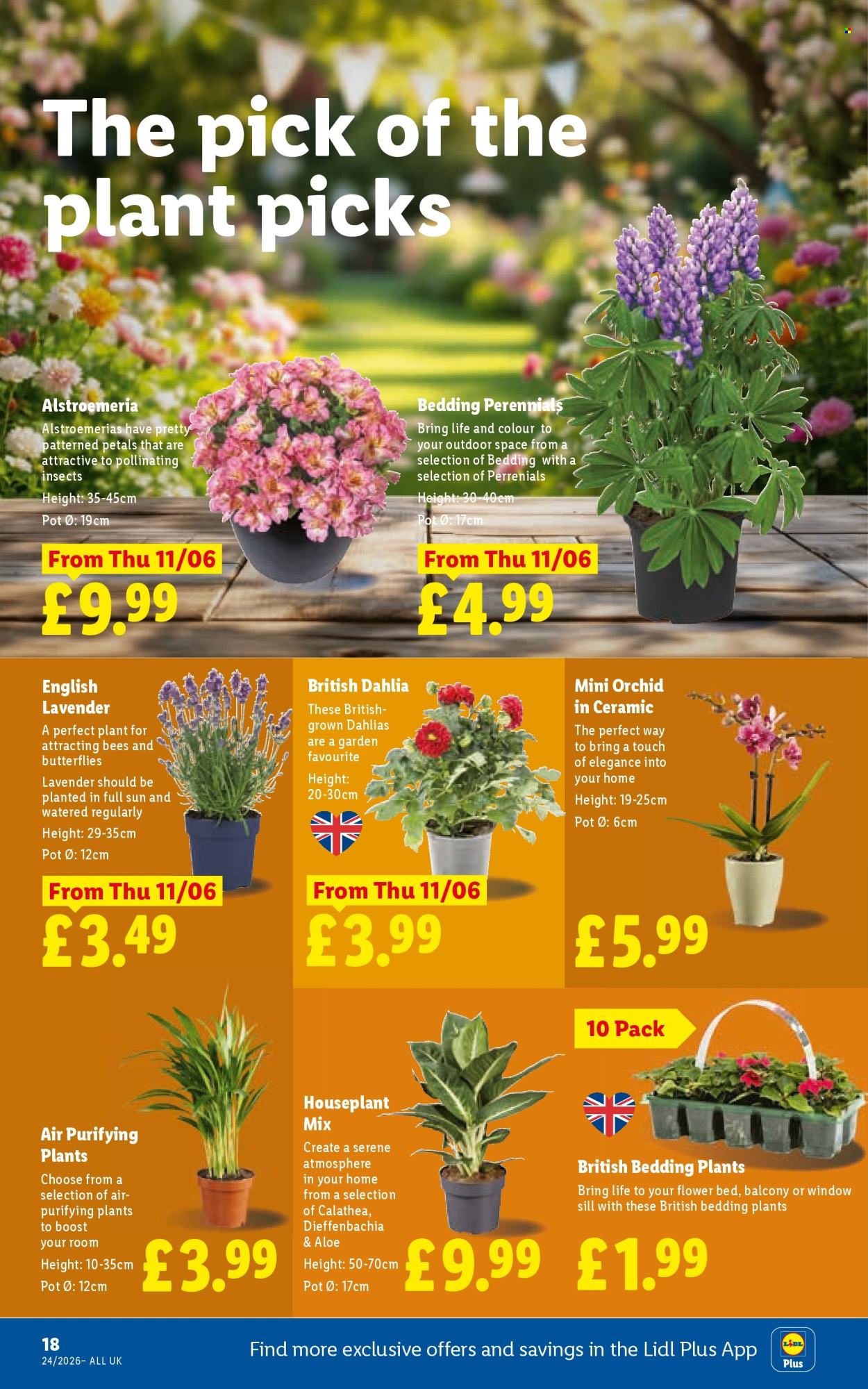 Lidl offer - 11/06/2026 - 17/06/2026. Page 18