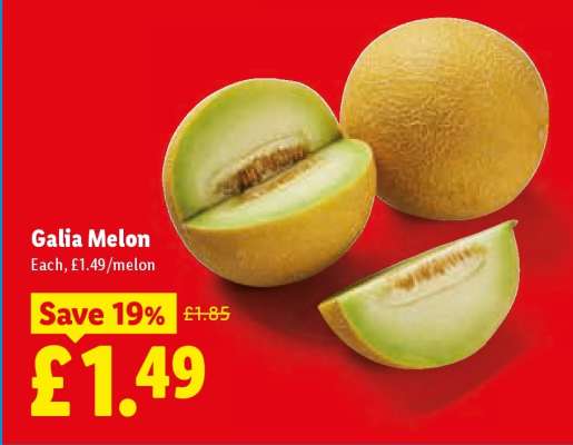 Galia Melon