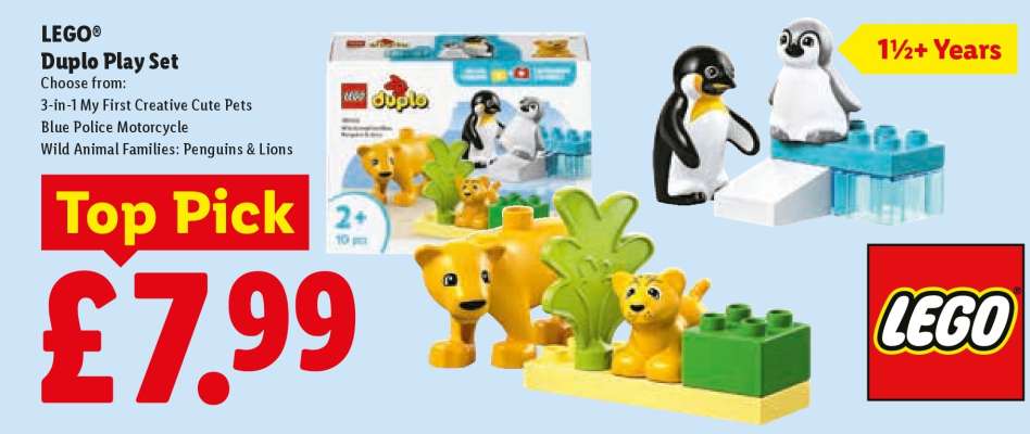 LEGO Duplo Play Set
