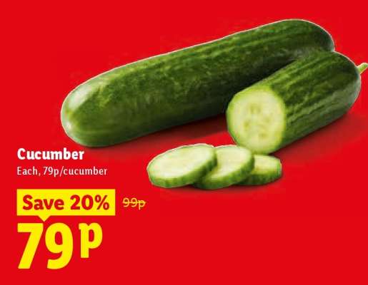 Cucumber