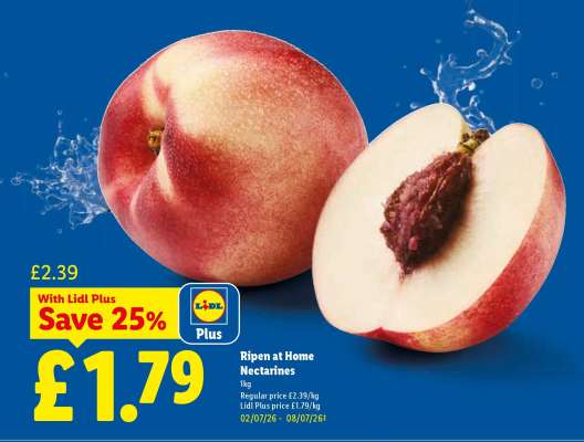 Ripen at Home Nectarines