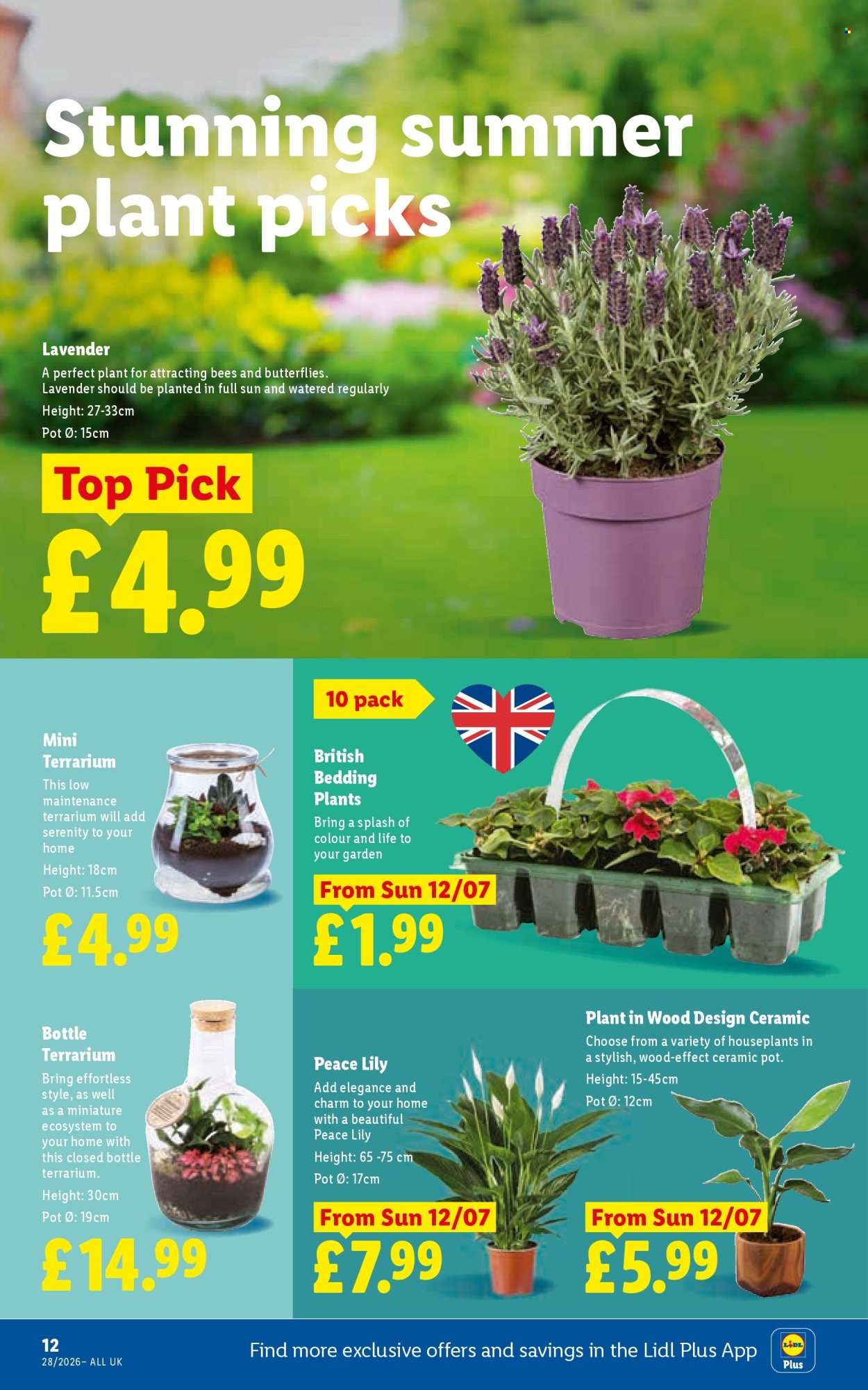 Lidl offer - 09/07/2026 - 15/07/2026. Page 14