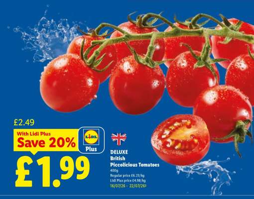 DELUXE British Piccolicious Tomatoes
