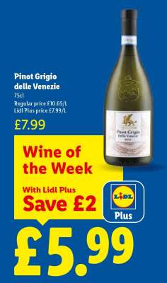 Pinot Grigio Delle Venezie
