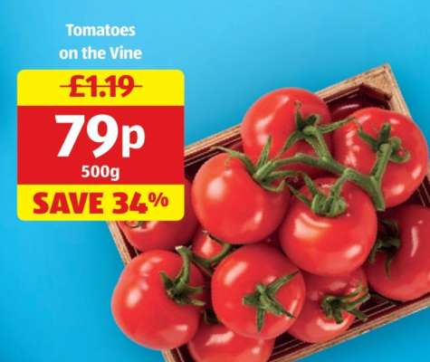 Tomatoes on the Vine