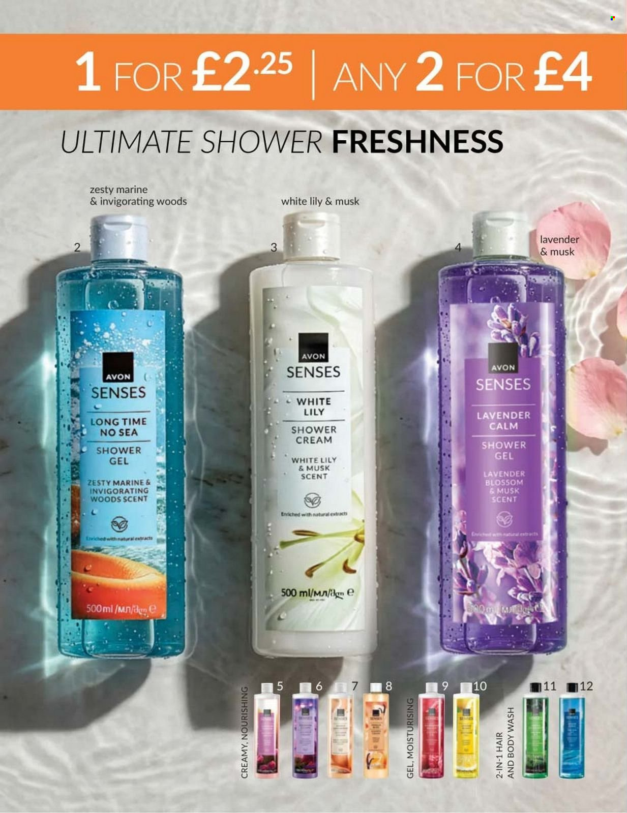Avon offer - 01/08/2026 - 31/08/2026. Page 266
