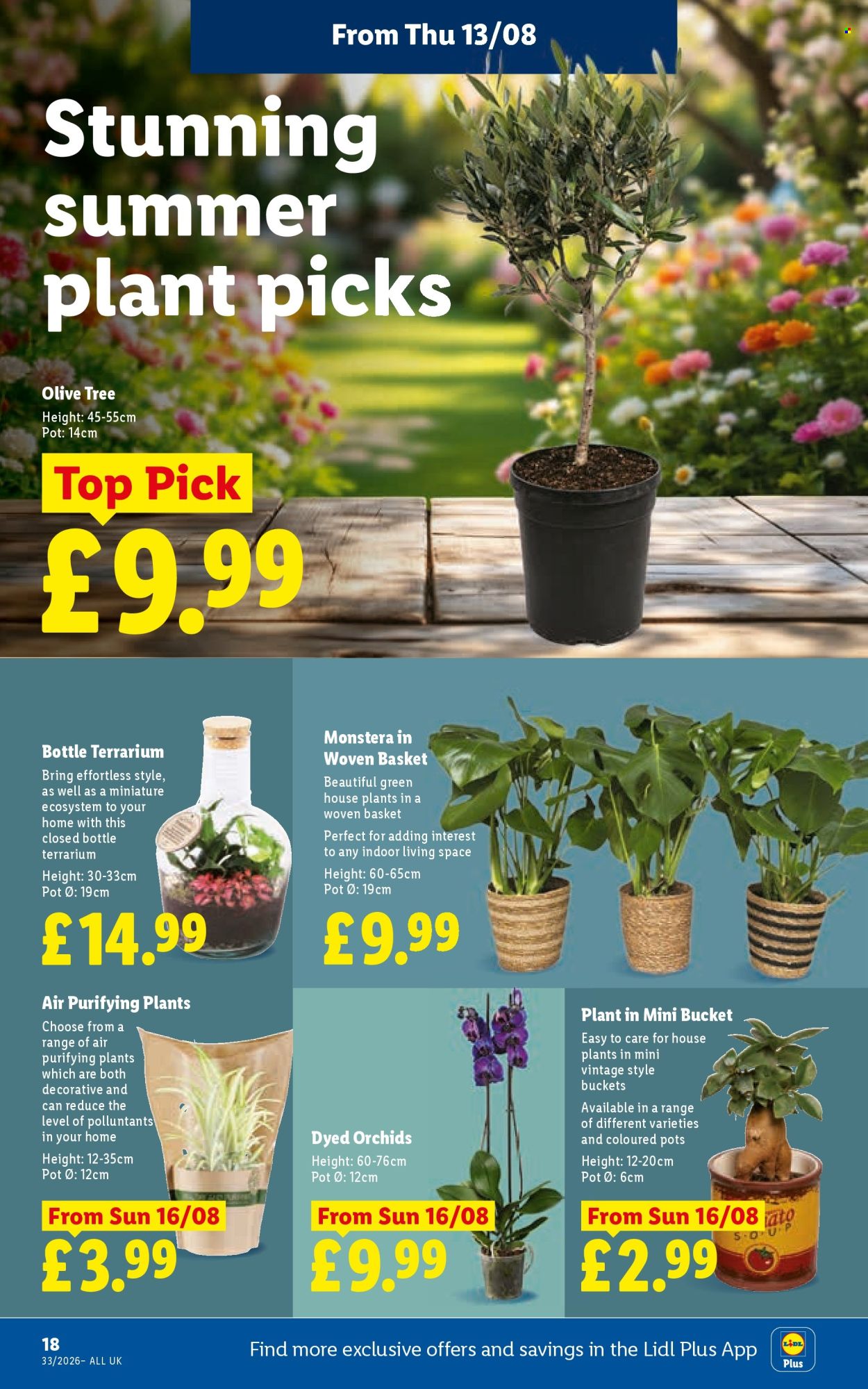 Lidl offer - 13/08/2026 - 19/08/2026. Page 20