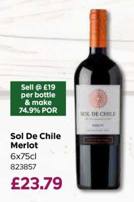 Sol De Chile Merlot