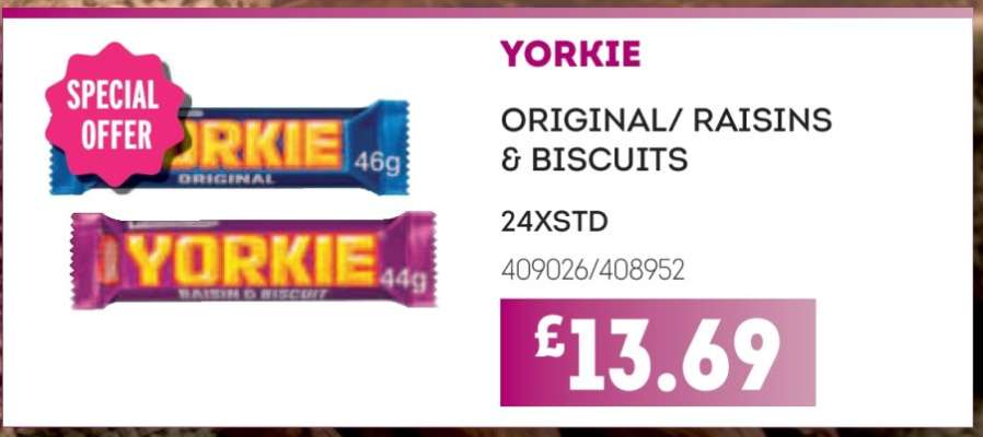 YORKIE